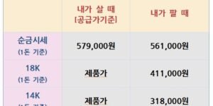 “2025년 8월 29일 기준 국내 금·은 시세 안내. 순금 1돈 기준 매수가 579,000원, 매도가 561,000원. 18K·14K 가격과 은 시세(1kg 기준 매수 1,960,000원, 매도 1,800,000원)도 표시됨.”