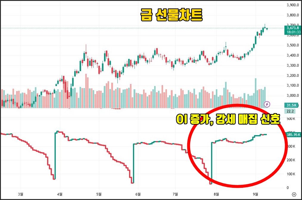 “금 선물 차트와 오픈이자(OI) 흐름을 보여주는 그래프. 최근 금 가격 상승과 함께 오픈이자가 증가하며 강세 매집 신호를 나타내고 있음. 그래프 하단 오른쪽에는 ‘OI 증가, 강세 매집 신호’라는 설명 문구가 강조되어 있음.”