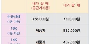 오늘의금은시황