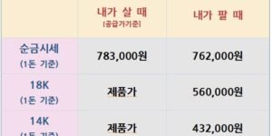 오늘의 금은시세표