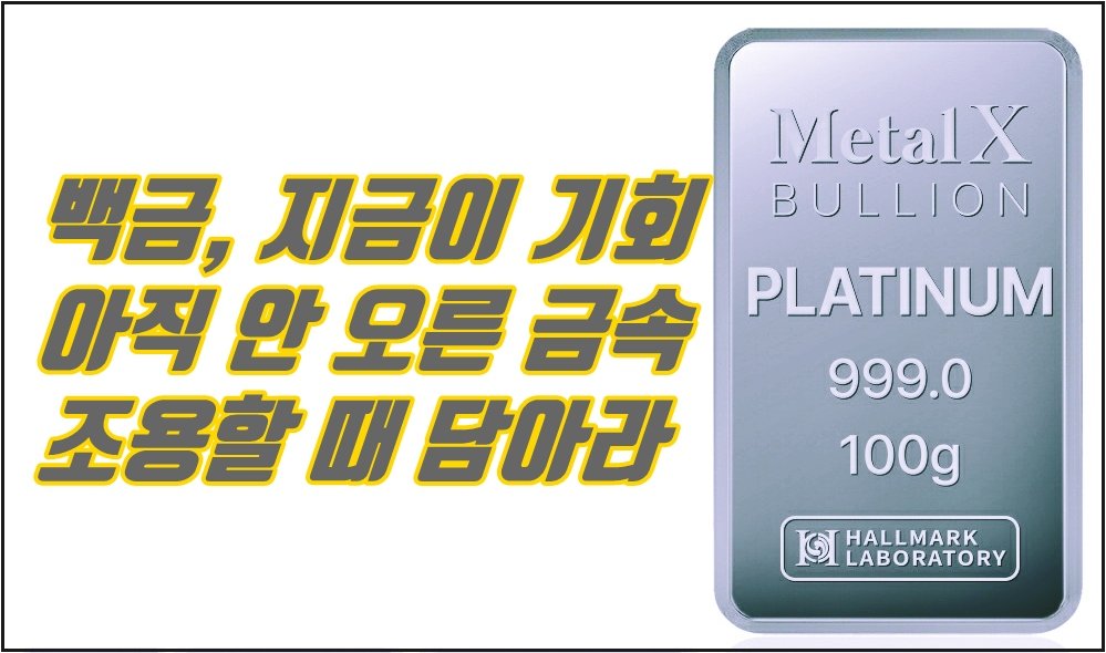 백금, 15년 눌림 끝났다 — 지금이 마지막 저평가 구간