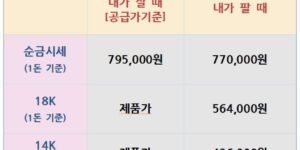 26.08.25 금은시셒료